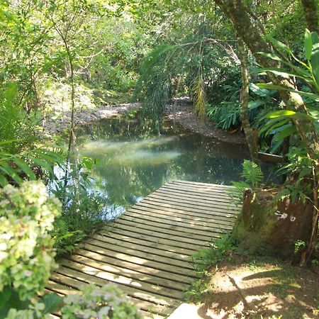 马基内Casa De Campo - Sitio Da Tia Vera别墅 外观 照片