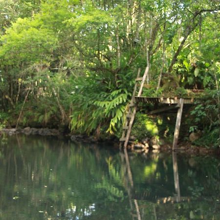 马基内Casa De Campo - Sitio Da Tia Vera别墅 外观 照片