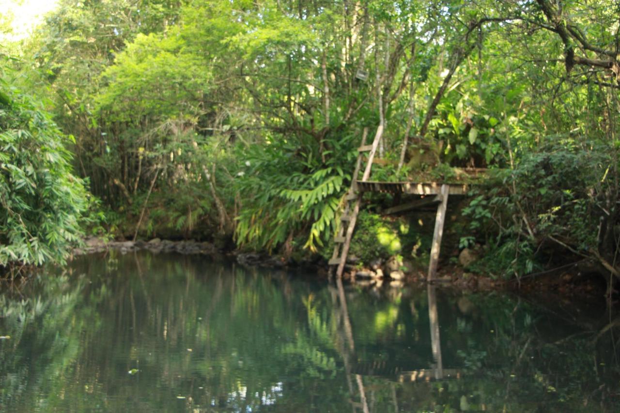 马基内Casa De Campo - Sitio Da Tia Vera别墅 外观 照片
