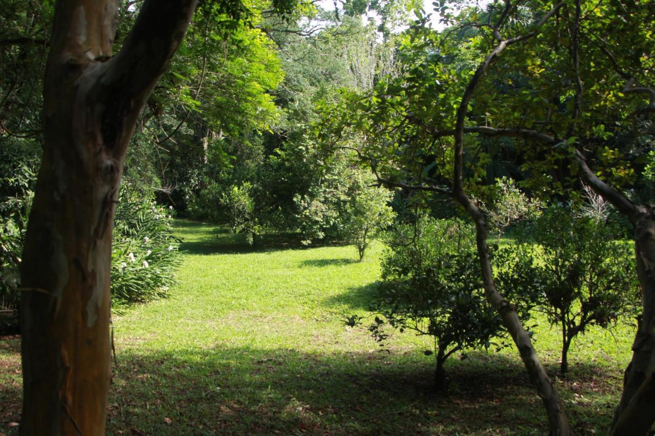 马基内Casa De Campo - Sitio Da Tia Vera别墅 外观 照片